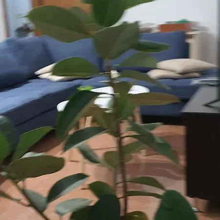 Center Apartment